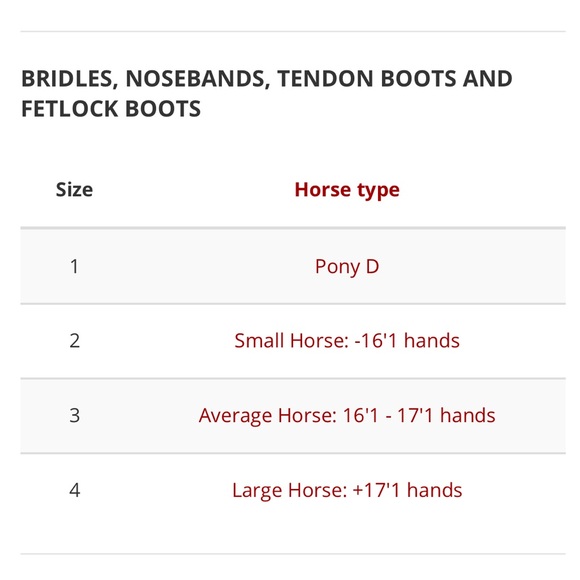 SOLD Brand new with tags CWD raised fancy stitched French noseband bridle - Picture 13 of 16